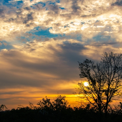 &copy; Zaron Photography